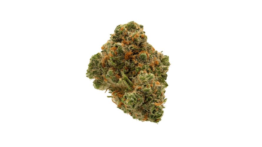 Once you hit the Green Crack strain, you'll enjoy its fast-acting cerebral bliss, which enhances your mood and promotes tranquillity. 