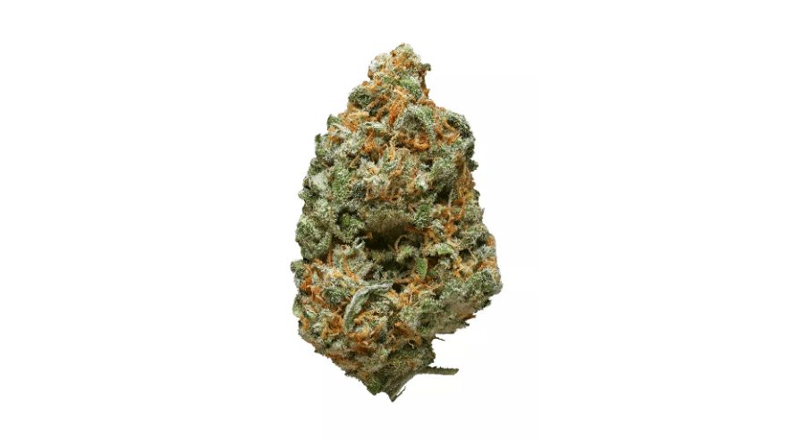 One of the Green Crack strain info is its ability to boost mental clarity and focus.