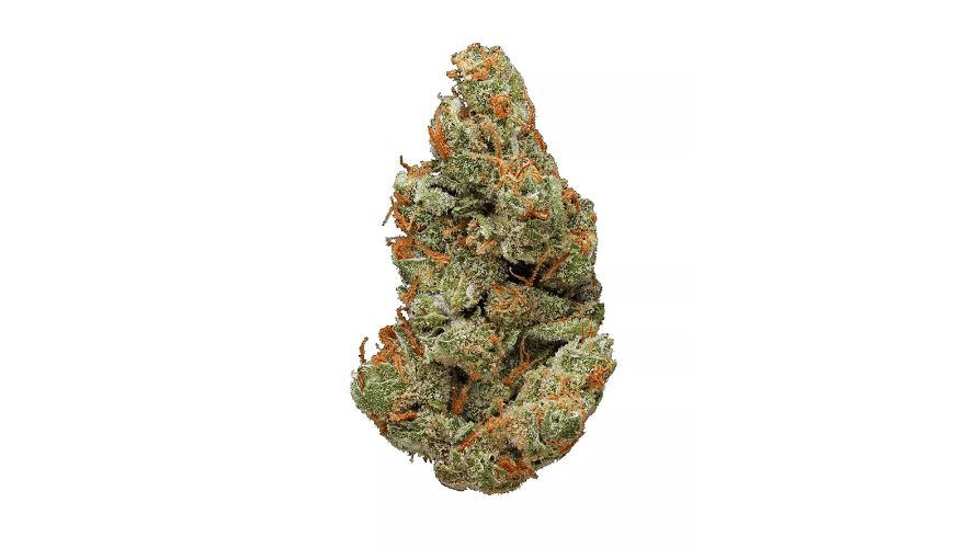 Lambs Breath strain is a powerhouse when it comes to terpenes. It contains high levels of Caryophyllene (peppery), Limonene (citrusy), Alpha-Pinene (piney), Delta-3-Carene (earthy/sweet), Valencene (citrusy) and Terpineol (floral).