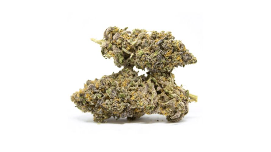 Strains similar to the Lambs Breath include Jack Herer, Durban Poison, Sour Diesel, Ghost Train Haze, Amnesia Haze, and Strawberry Cough. Shop these strains and much more from the best online weed dispensary!