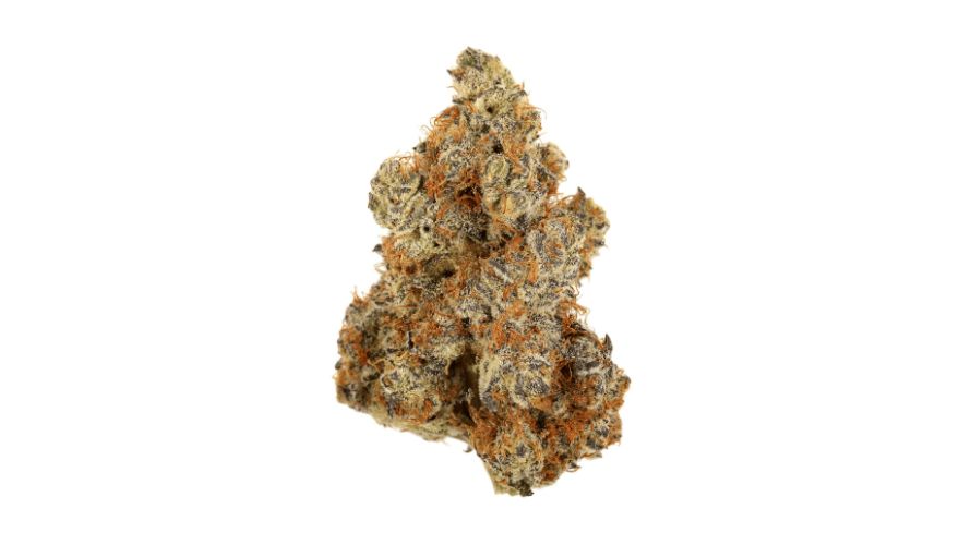 Meat Breath has a robust terpene profile, which is why it has such an aromatic and flavourful nature. The primary terpenes in this strain are beta-caryophyllene, myrcene and limonene. 