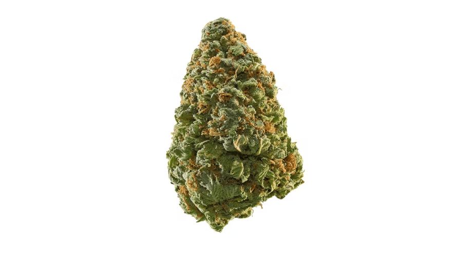 Green Crack, also known as Mango Crack, has an interesting history and unique genetic makeup.