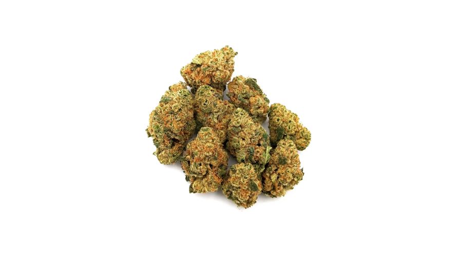 Mango Haze is mainly celebrated for its unique aroma and flavour courtesy of its rich terpene profile. 