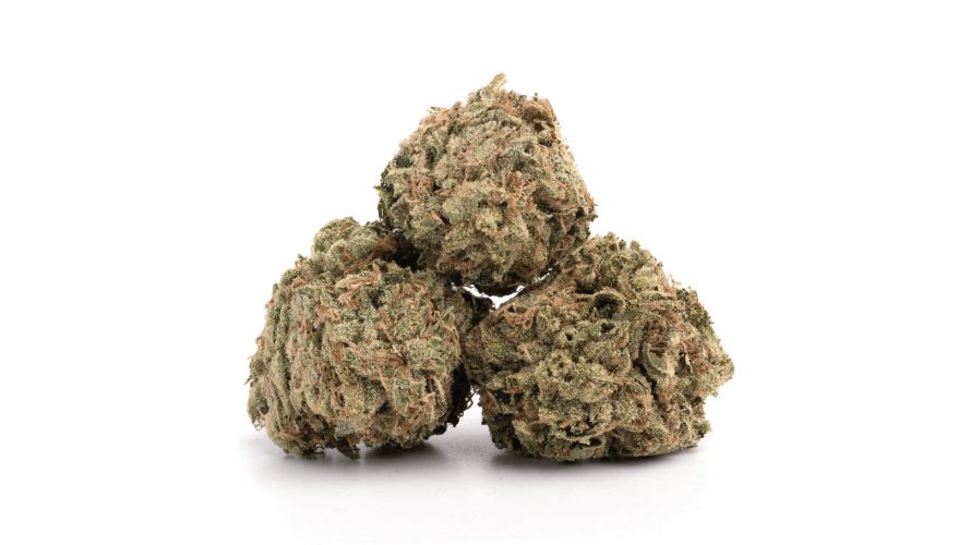 Mango Haze is used not only by those looking to enjoy its recreational perks but also those struggling with various ailments. 