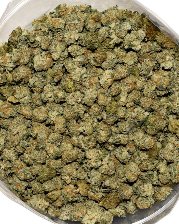 Violator Kush Popcorn AAA Bag