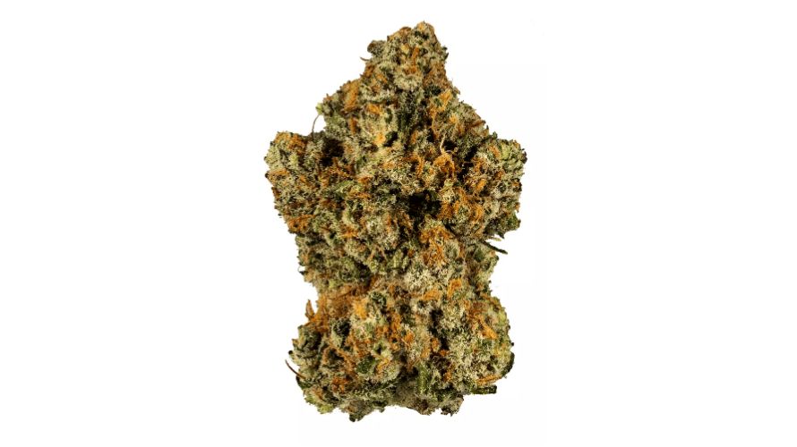 The Grease Monkey is a hybrid strain with its effects leaning towards the Indica side. It has a history of delivering intense relaxing and euphoric effects.