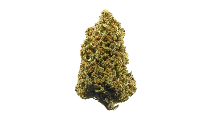 This delicious strain is the phenotype of the iconic Jamaican Sativa, and it's one of the most popular and rarest buds you can find at an online weed dispensary.