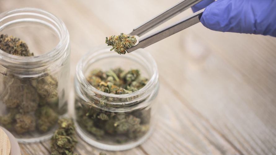 Here are tips to snag weed deals from the cheapest online dispensary in Canada: