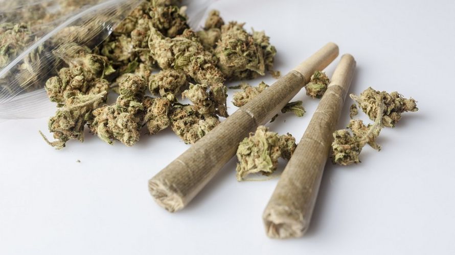 Our weed dispensary in Canada has a wide selection of cheap weed online, including: