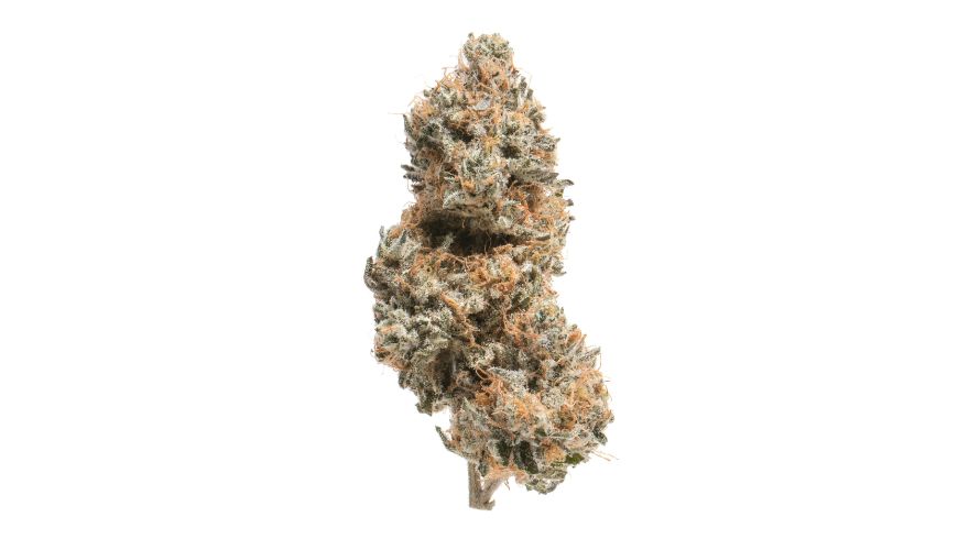 If you’re looking to buy a premium cut of the White Widow strain, Chronic Farms can help. 