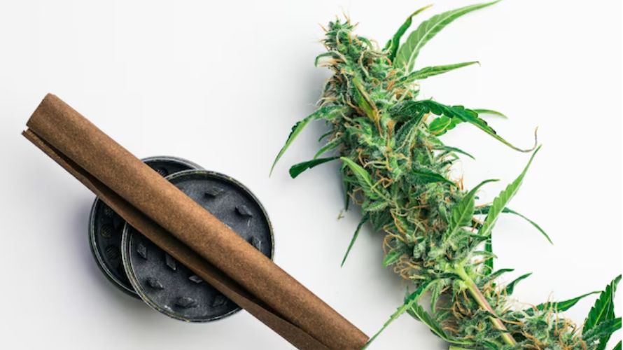 Buy cheap weed online in Canada at Chronic Farms today and enjoy quality products at the lowest prices, a seamless shopping experience and free country-wide shipping for all orders above $150.