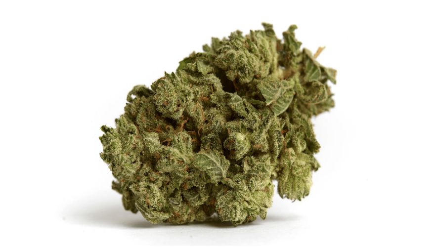 Chronic Farms is the leading online weed dispensary in Canada (according to stoners), where you can source high-quality buds without a second thought. 