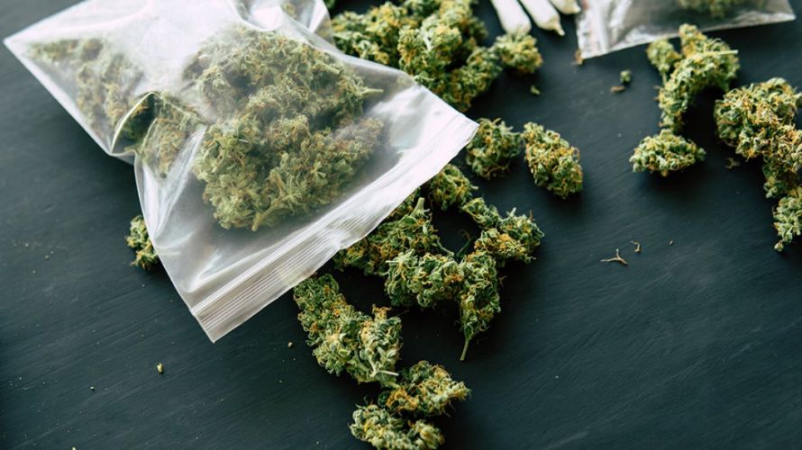 When looking for cheap weed online in Canada, there are a few things you need to keep in mind to avoid losing money or receiving low-quality products.