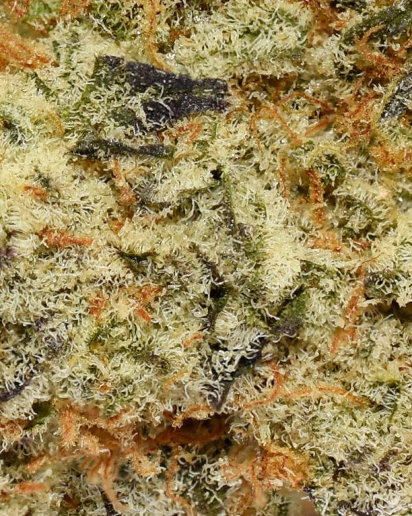 Cake Boss AAA Trichomes