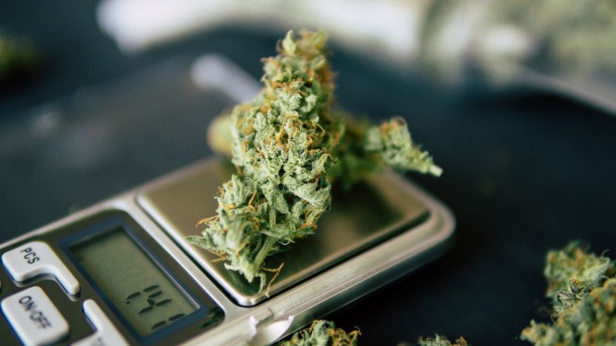 Many people have lost their money trying to buy cheap weed online in Canada from scam sites. So, how do you ensure that you don't lose your hard-earned money or receive low-quality products when you order weed online?