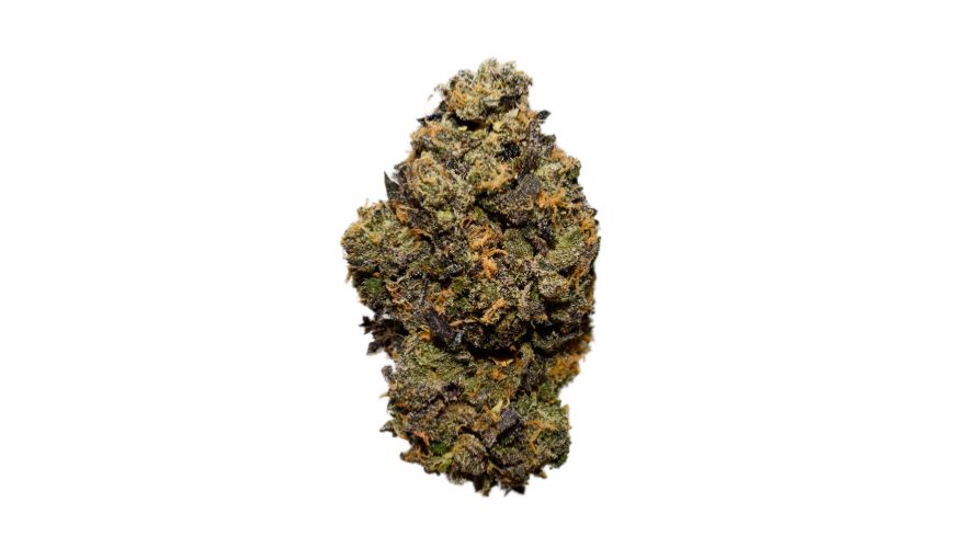 Chocolate OG is one of the strongest weed for sale you'll ever buy online in Canada. This strain was named after its dark appearance. 