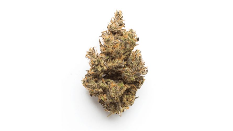 Is the Death Star strain Indica or Sativa? As mentioned, it's an Indica hybrid, or 75 percent Indica and 25 percent Sativa to be exact. 