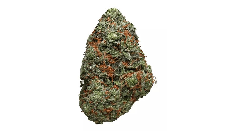 If you are familiar with our reviews, such as this in-depth guide to the Mango Haze, you already know what's lying ahead. If not, here's a brief overview of the amazing things you'll learn below.