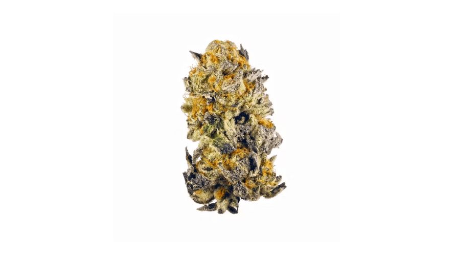 Yes! The Death Star weed strain is one of the rarest buds in Canada and worldwide. If you spot it, buy this cannabis online as soon as possible! Due to high demand, it can be snatched up instantly.