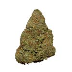 Duke Nukem AA