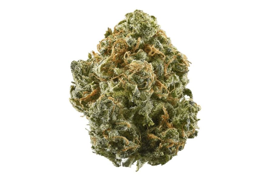 Ever tried high THC Indica strains in Canada before? If not, the time is now! Here are some of our top Indica strains you need to know. 