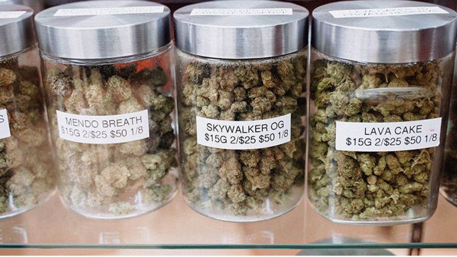 When visiting a physical store, you may need help with the wide range of goods on the shelves, limiting your scope based on the knowledge of the attending budtender. 