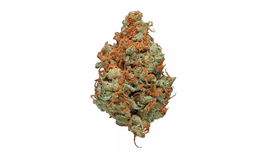 If you want to buy cannabis online and taste the most potent version of your favourite bud, order from Chronic Farms.