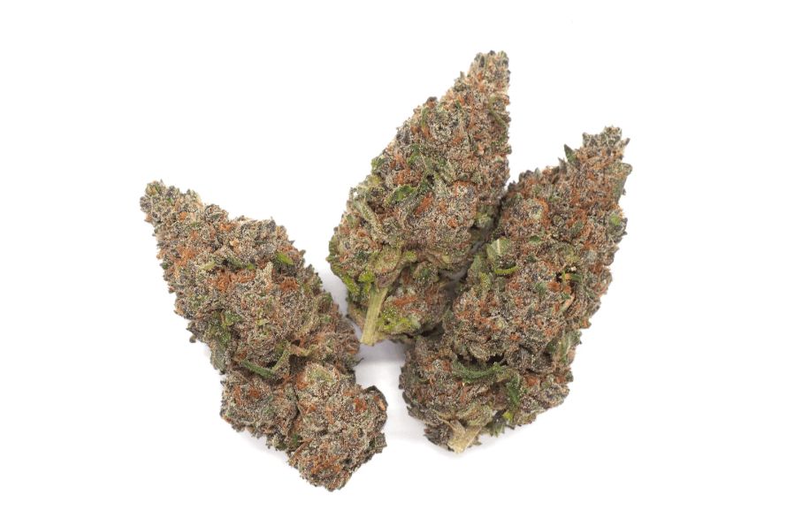 Strawberry Cough strain is a luxurious fruity strain that provides endless energy & positive vibes. Find out how much THC it packs & the effects.