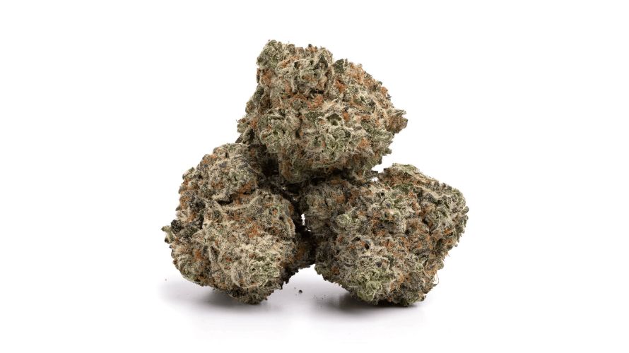 White Widow is an evenly balanced hybrid strain with equal indica and sativa genetics. This is apparent in the type of high it causes. 