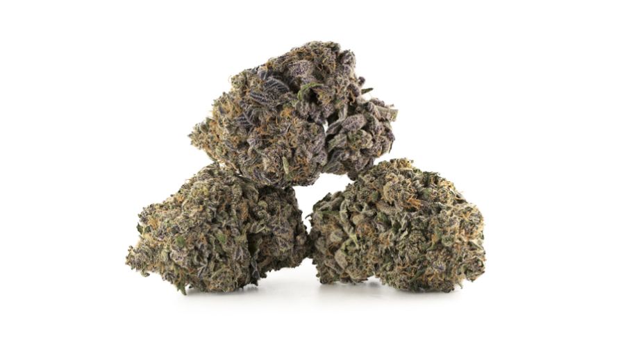 The Purple Space Cookies strain has dense buds covered with a thick trichome layer, giving them a gleaming and frosty appearance.