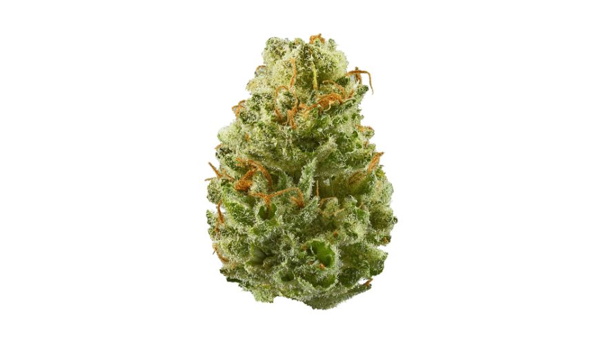 Based on the latest Strawberry Cough strain info, this bud's a Sativa dominant hybrid with an 80 to 20 percent Sativa to Indica ratio. 