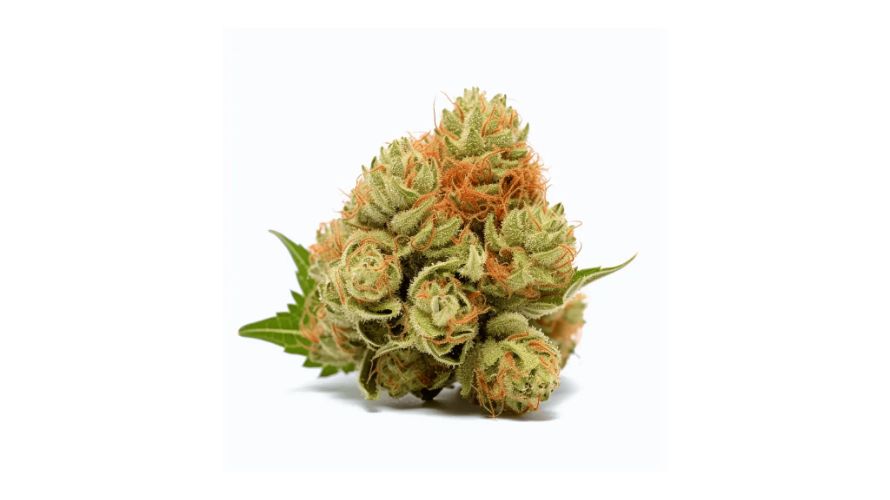 Order the Strawberry Cough strain from a reputable online weed dispensary NOW! 