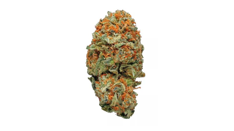 The AK-47 strain genetic background contains a blend of sativa and indica strains from different parts of the world: