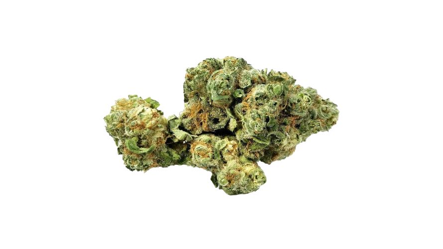 The Gorilla Glue weed is easy to recognize due to its unique physical appearance. 