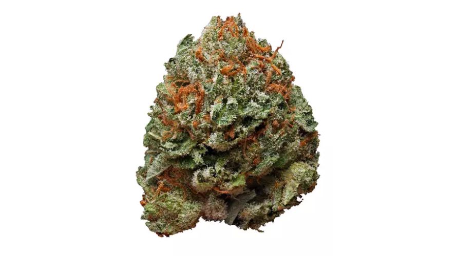 If you are looking for high-quality Rocket Fuel weed, order cannabis online at Chronic Farms, the leading dispensary in Canada. Chronic Farms is known for offering premium cannabis strains at the lowest prices.