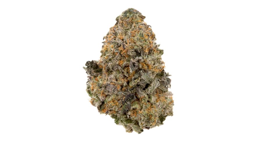 Gelato 33 is visually stunning, but only if you grab premium buds from a reputable online weed dispensary. The buds are compact, as is typical of indica strains, and display vibrant dark green and purple hues.