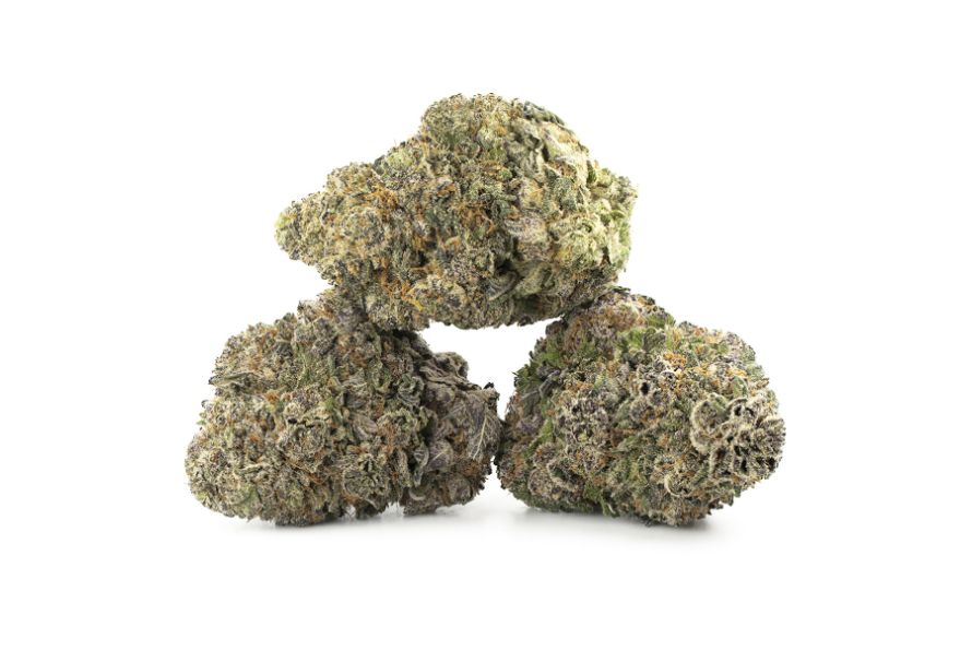 Perfect bud for stoners with a sweet tooth? Learn more about the Gelato 33 strain, its effects, THC levels & flavour to determine if it's worth trying.