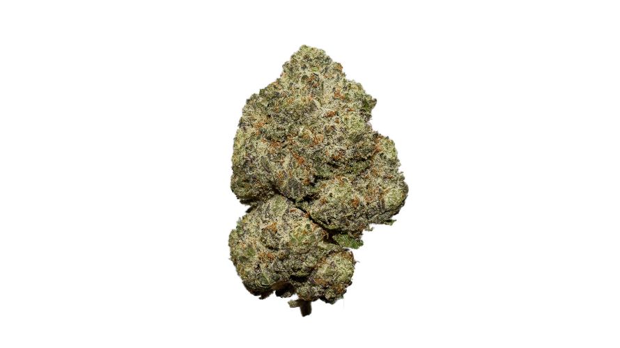 If you're looking for a potent Indica at an affordable price, make Girl Scout Cookies your immediate priority. You won't regret it. 