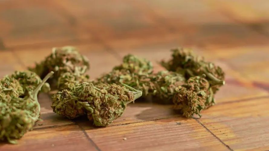 Before you order cheap weed online, ask yourself if cheap means poor quality. The adage 'cheap is expensive' will have you think so, but this is not always the case.