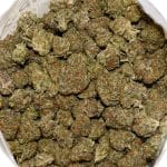 Guava Dawg AA Bag