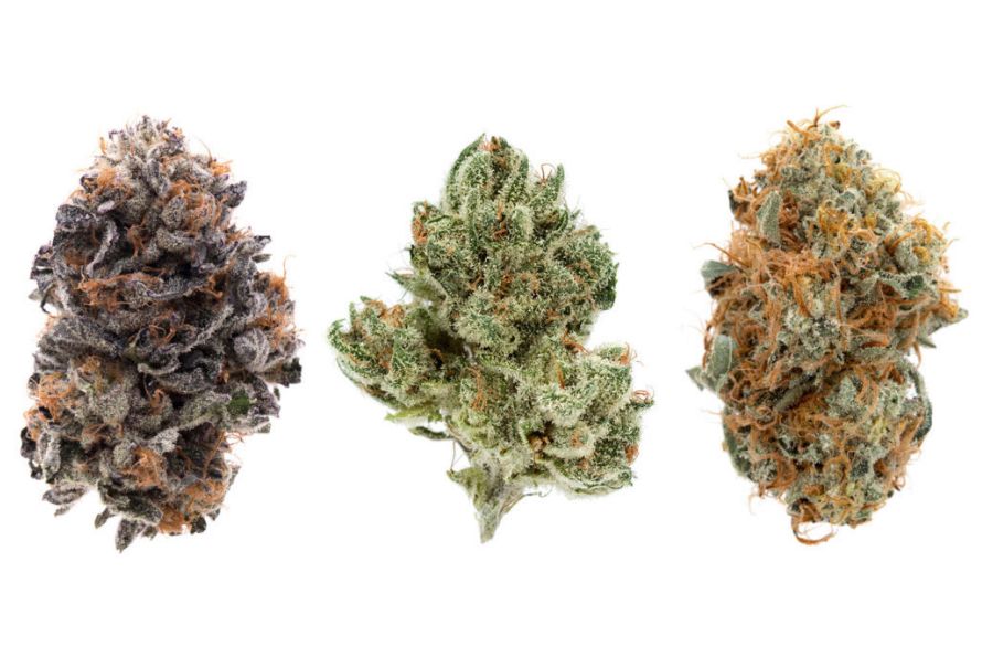 What does indica bud make you feel? Learn more about its effects, origins, uses, how it compares to other cannabis types & the top 5 indica strains.