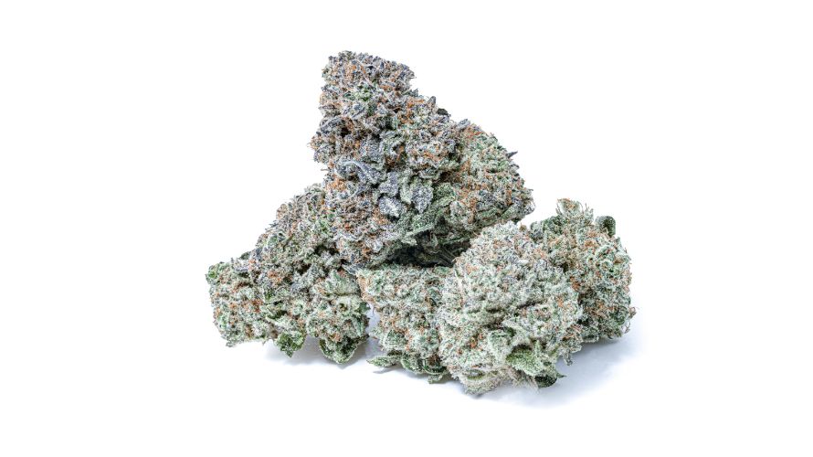 London Pound Cake has a unique aroma and flavour due to its rich terpene profile. 