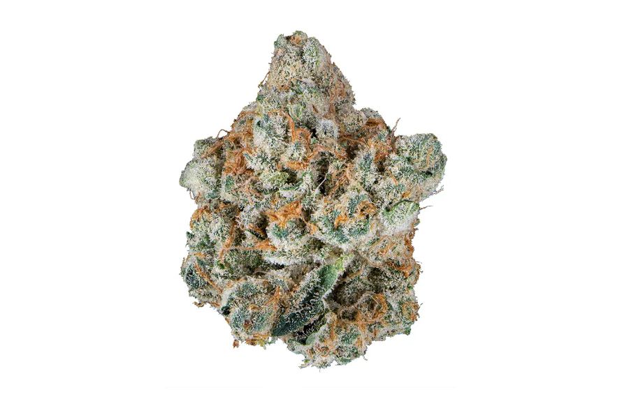 London Pound Cake strain brings out a combination of flavour, aroma, and potency. Here's everything you need to know about this strain.