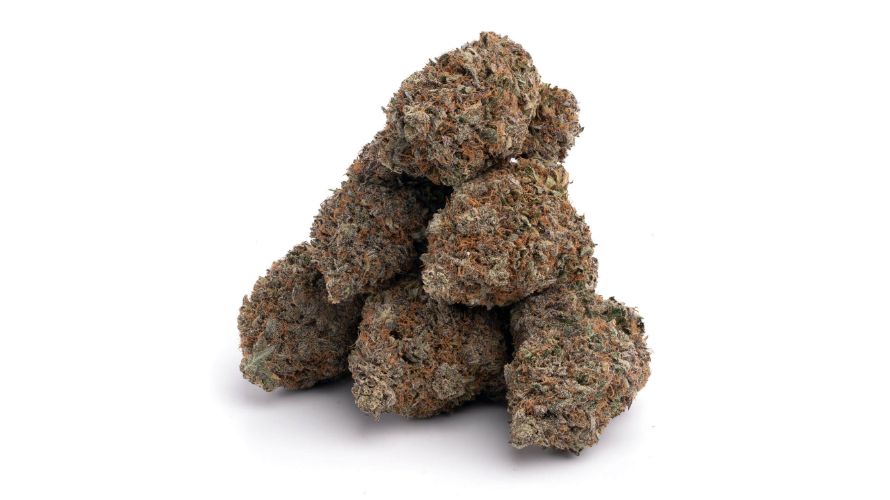 The Mataro Blue weed is 70 percent Indica and 30 percent Sativa, so it is an Indica-leaning hybrid strain with intense relaxing and couch-locking effects.