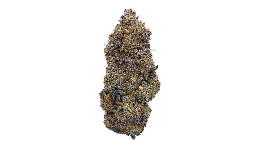 This strain produces oversized, super sticky buds that resemble popcorn. The buds are mainly olive green, although they may have some purple tinges depending on where they were grown.