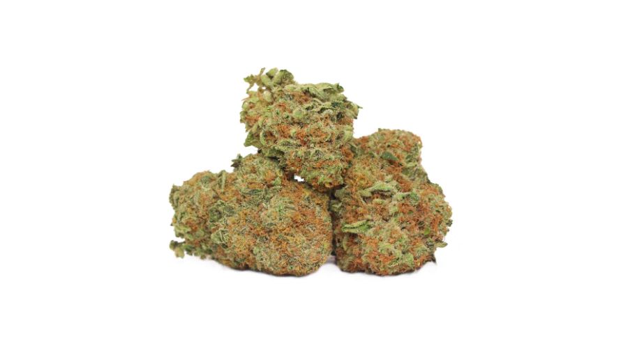 Rocket Fuel strain is a cross between two classic buds. This already gives it a head start as enthusiasts are eager to find out what these strains would taste like combined.