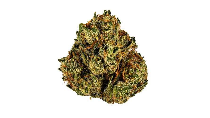 The Rocket Fuel weed strain is one of the up-and-coming buds in the Canadian cannabis space. This strain is popular for its high-powered effects that kick in quickly and, as the name suggests, its unique aroma and flavour profile.