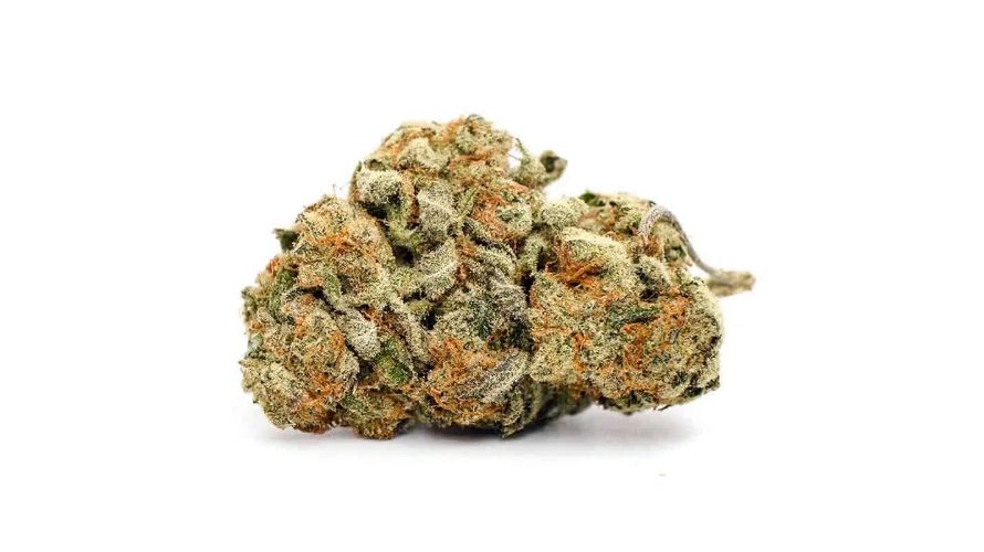 Zombie Kush comes from a legendary background that gives it a robust foundation in the cannabis space. 