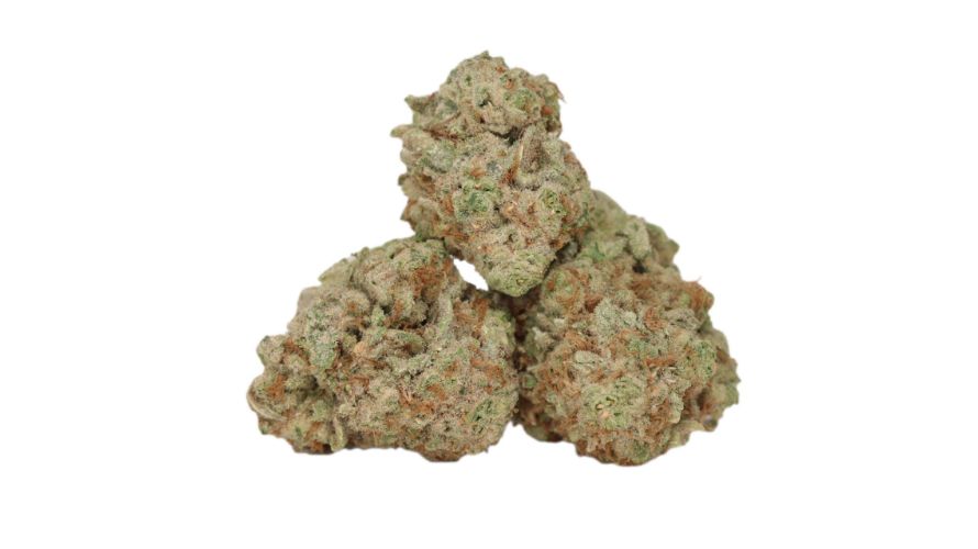 The Zombie Kush strain has a rich terpene profile that contributes to its unique aroma and rich flavour profile. 