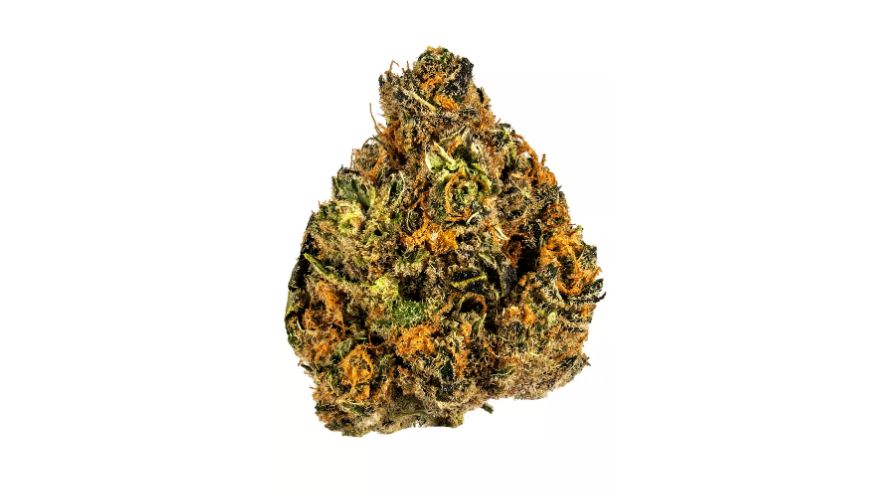 The Zombie Kush strain has THC levels ranging between 18% and 21%. This makes it many people's favourite due to its intense and long-lasting high. .